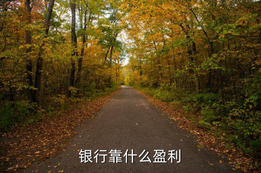 銀行靠什么掙錢(qián),銀行靠什么盈利