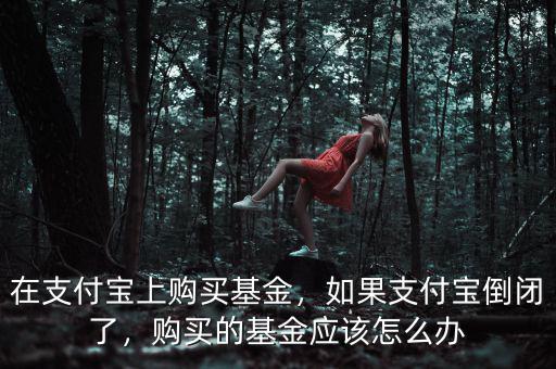 在支付寶上購買基金，如果支付寶倒閉了，購買的基金應該怎么辦