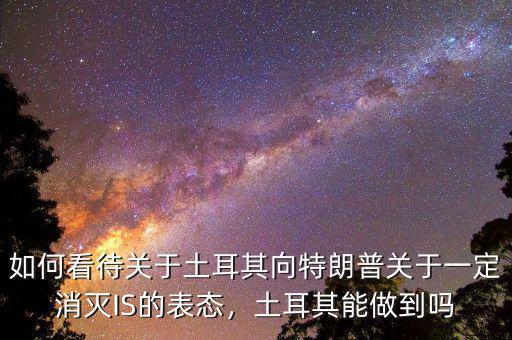 如何看待關(guān)于土耳其向特朗普關(guān)于一定消滅IS的表態(tài)，土耳其能做到嗎