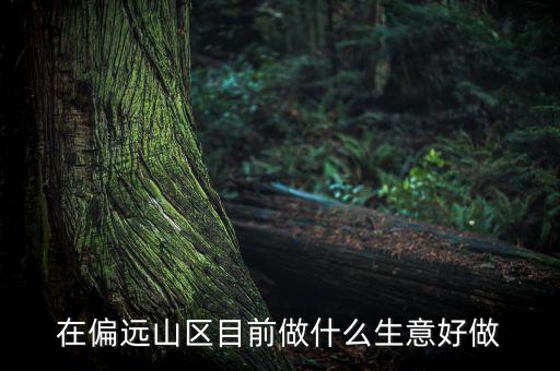 偏遠(yuǎn)城市做什么項目,可用5年。做什么項目好呢