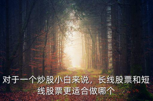 對(duì)于一個(gè)炒股小白來說，長線股票和短線股票更適合做哪個(gè)
