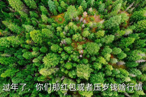 過年了，你們那紅包或者壓歲錢啥行情