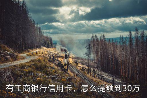有工商銀行信用卡，怎么提額到30萬
