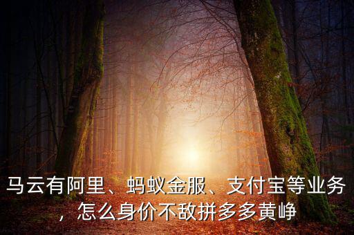 馬云有阿里、螞蟻金服、支付寶等業(yè)務(wù)，怎么身價不敵拼多多黃崢