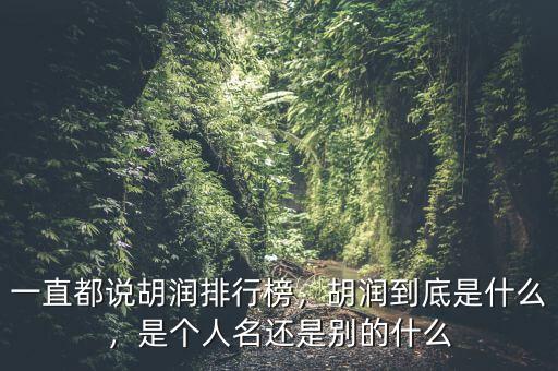 一直都說胡潤排行榜，胡潤到底是什么，是個人名還是別的什么