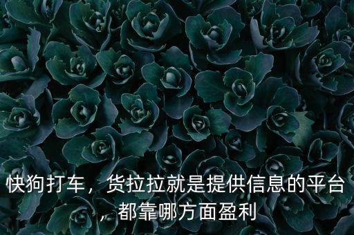 快狗打車(chē)，貨拉拉就是提供信息的平臺(tái)，都靠哪方面盈利