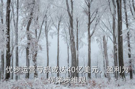 優(yōu)步運(yùn)營(yíng)虧損或達(dá)40億美元，盈利為何舉步維艱