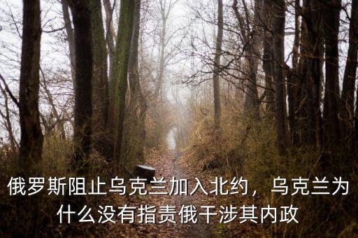 俄羅斯阻止烏克蘭加入北約，烏克蘭為什么沒有指責俄干涉其內(nèi)政