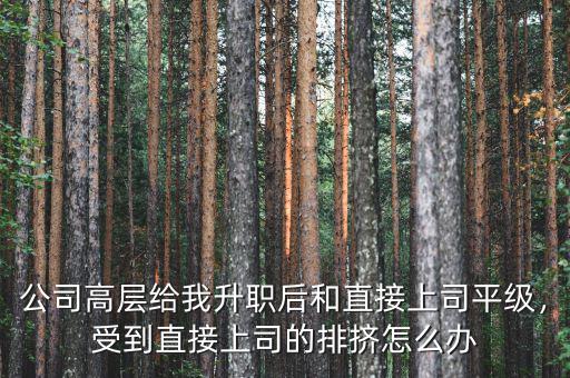 公司高層給我升職后和直接上司平級，受到直接上司的排擠怎么辦