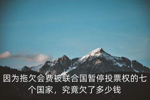 因?yàn)橥锨窌M(fèi)被聯(lián)合國暫停投票權(quán)的七個國家，究竟欠了多少錢