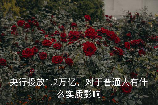 央行投放1.2萬億，對(duì)于普通人有什么實(shí)質(zhì)影響
