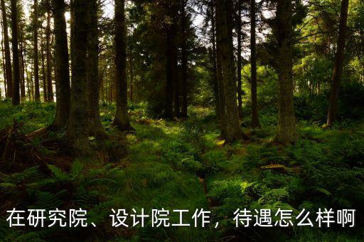 在研究院、設(shè)計(jì)院工作，待遇怎么樣啊