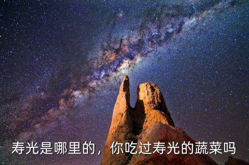 壽光是哪里的，你吃過壽光的蔬菜嗎
