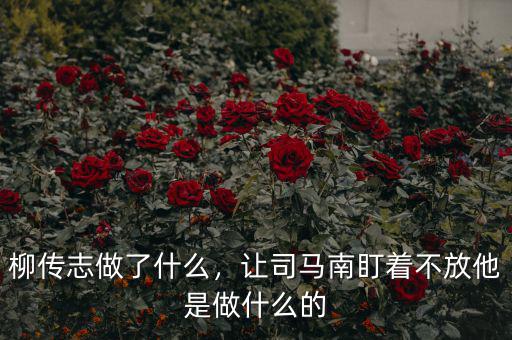 柳傳志做了什么，讓司馬南盯著不放他是做什么的