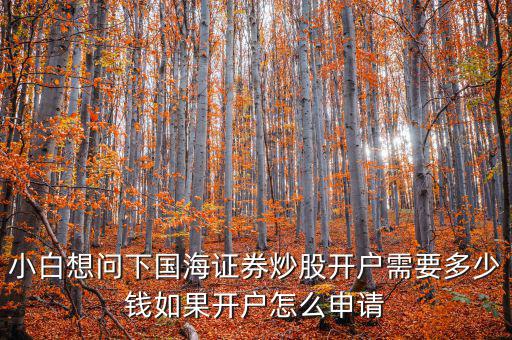 澳股開(kāi)戶(hù)需要多少錢(qián),請(qǐng)問(wèn)股票開(kāi)戶(hù)最低需要多少錢(qián)