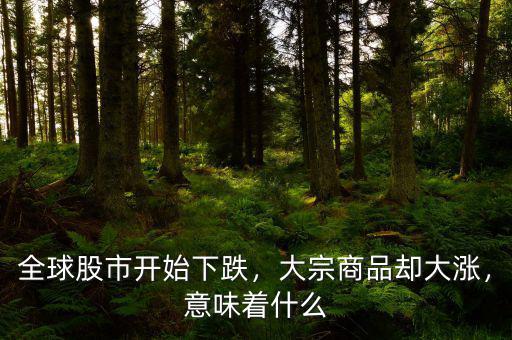 全球股市開始下跌，大宗商品卻大漲，意味著什么