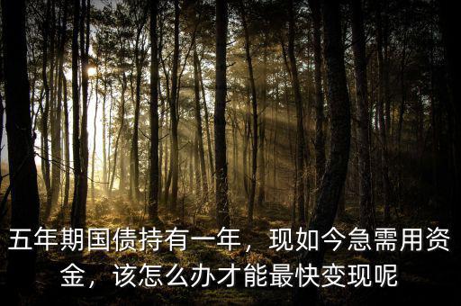 五年期國債持有一年，現(xiàn)如今急需用資金，該怎么辦才能最快變現(xiàn)呢