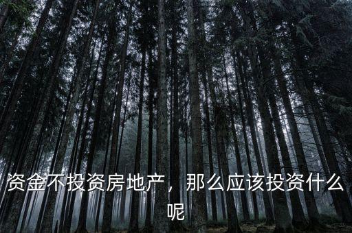 資金不投資房地產(chǎn)，那么應(yīng)該投資什么呢