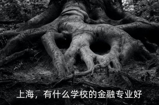 上海，有什么學(xué)校的金融專業(yè)好