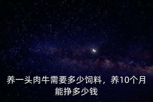養(yǎng)一頭肉牛需要多少飼料，養(yǎng)10個(gè)月能掙多少錢(qián)