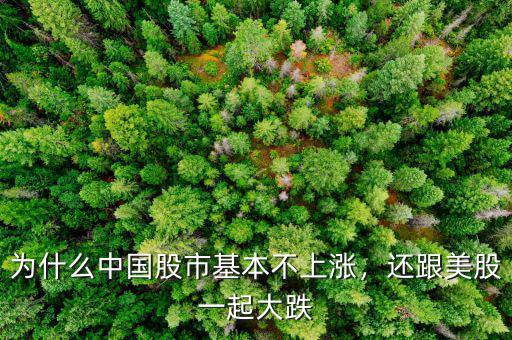 為什么中國股市基本不上漲，還跟美股一起大跌