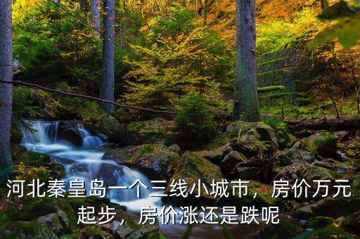 河北秦皇島一個三線小城市，房價萬元起步，房價漲還是跌呢