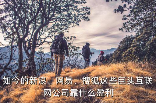 如今的新浪、網(wǎng)易、搜狐這些巨頭互聯(lián)網(wǎng)公司靠什么盈利