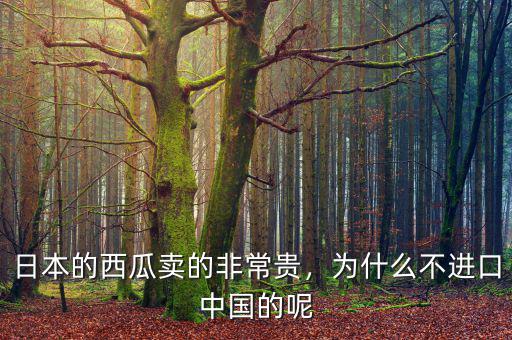 日本的西瓜賣的非常貴，為什么不進口中國的呢