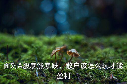 面對A股暴漲暴跌，散戶該怎么玩才能盈利