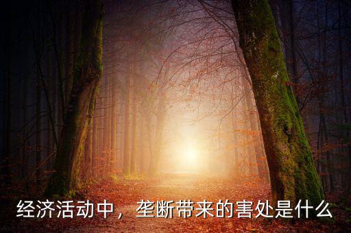 經(jīng)濟活動中，壟斷帶來的害處是什么