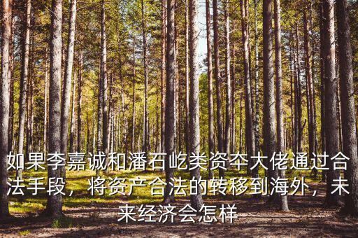 如果李嘉誠和潘石屹類資夲大佬通過合法手段，將資產(chǎn)合法的轉(zhuǎn)移到海外，未來經(jīng)濟會怎樣