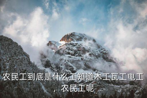農(nóng)民工到底是什么工知道木工瓦工電工，農(nóng)民工呢