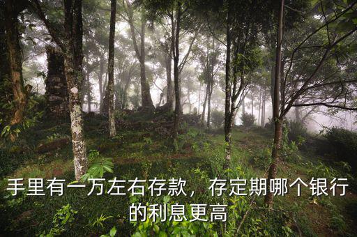 手里有一萬左右存款，存定期哪個銀行的利息更高