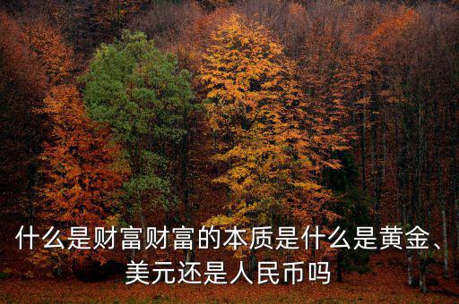 什么是財富財富的本質是什么是黃金、美元還是人民幣嗎
