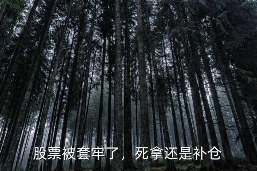 股票被套牢了，死拿還是補(bǔ)倉(cāng)