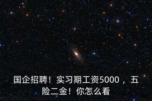 國企招聘！實(shí)習(xí)期工資5000 ，五險(xiǎn)二金！你怎么看