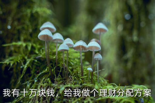 我有十萬塊錢，給我做個(gè)理財(cái)分配方案