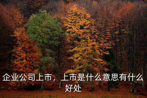 企業(yè)公司上市，上市是什么意思有什么好處