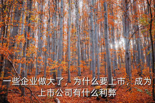 一些企業(yè)做大了，為什么要上市，成為上市公司有什么利弊