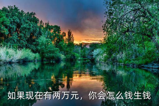 如果現(xiàn)在有兩萬元，你會(huì)怎么錢生錢