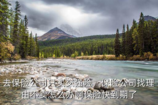 去保險公司只買交強險，保險公司找理由不賣怎么辦啊保險快到期了