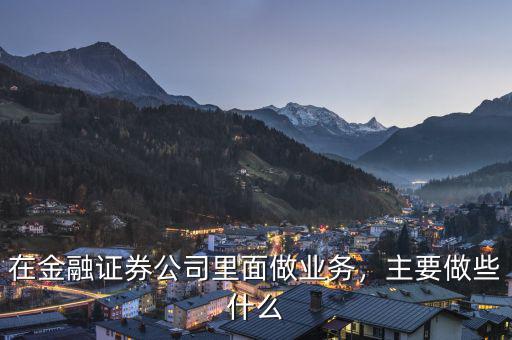 在金融證券公司里面做業(yè)務(wù)，主要做些什么