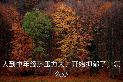 人到中年經(jīng)濟(jì)壓力大，開始抑郁了，怎么辦