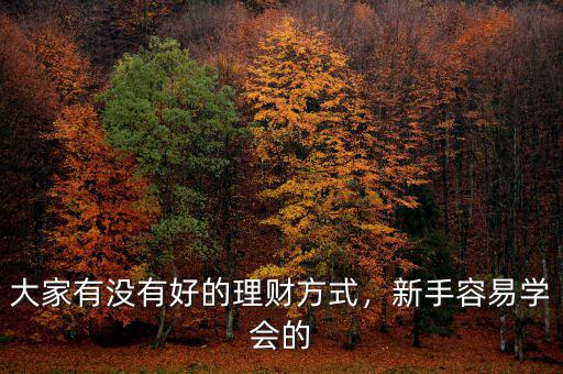 大家有沒(méi)有好的理財(cái)方式，新手容易學(xué)會(huì)的