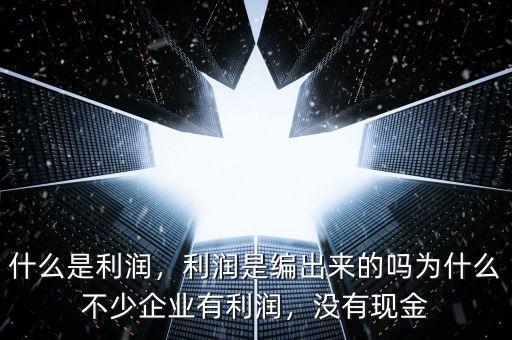 什么是利潤，利潤是編出來的嗎為什么不少企業(yè)有利潤，沒有現(xiàn)金
