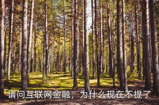 請問互聯(lián)網(wǎng)金融，為什么現(xiàn)在不提了
