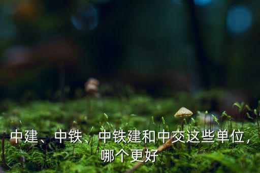 中建、中鐵、中鐵建和中交這些單位，哪個(gè)更好