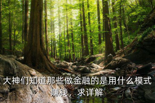 大神們知道那些做金融的是用什么模式賺錢，求詳解