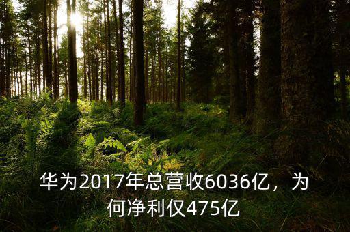 華為2017年總營收6036億，為何凈利僅475億