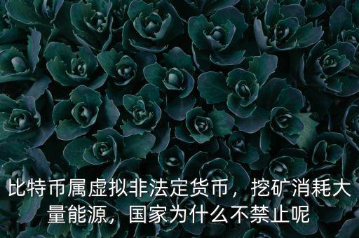 比特幣屬虛擬非法定貨幣，挖礦消耗大量能源，國家為什么不禁止呢